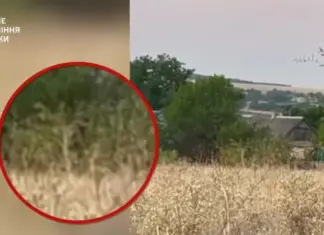 Спецназовцы ГУР уничтожили трех кадыровцев в тылу врага в Запорожье — видео