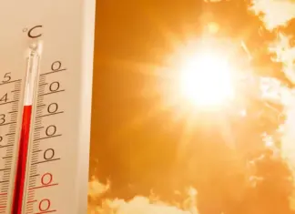 Разогреет до +37. В какие дни Украину накроет сильная жара и когда она пойдет на спад в большинстве регионов