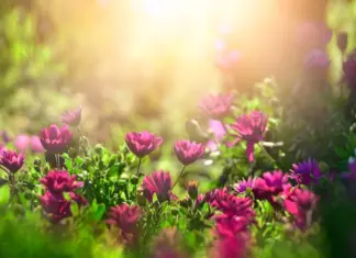 Температуру +9 заменит жара. Сколько продлятся холодные ночи в Украине и когда придет ощутимое потепление