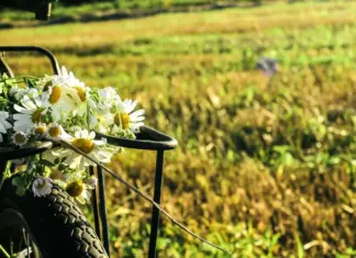 Настоящие августовские выходные. Синоптик сообщил, где ожидаются дожди, грозы, самые прохладные ночи и дневная жара