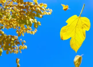 Влияние антициклона. Синоптики сообщили о теплых выходных, где будут небольшие грозовые дожди и порывистый ветер