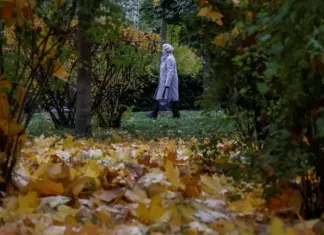 Продление военного положения, начало отопительного сезона, новые выплаты военнослужащим. Главные изменения для украинцев с 1 ноября