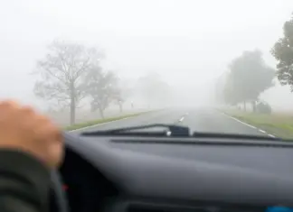 Сложные погодные условия. Синоптики предупредили, где в Украине будет плохая видимость на дорогах