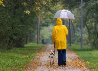 Из-за влияния циклона. Чем начало недели будет кардинально отличаться от ее второй половины, — прогноз погоды от Птухи
