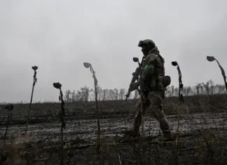 Мирный план: Украина согласилась ограничить численность ВСУ до 800 тысяч военных — FT