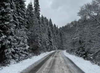 Часть Львовской области осталась без света из-за непогоды