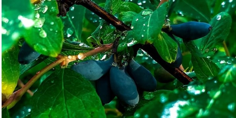 Без +30. Синоптики определили день, когда жара уйдет со&nbsp;всей территории Украины