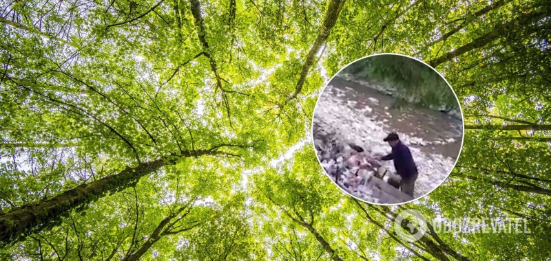 Целую телегу мусора сбросили прямо в реку: местные жители устроили у озера Синевир свалку. Видео