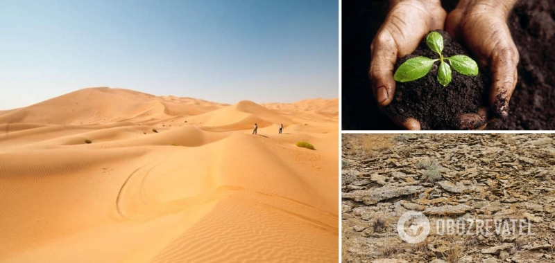 Часть Украины через 30 лет может превратиться в пустыню, &ndash; ученый