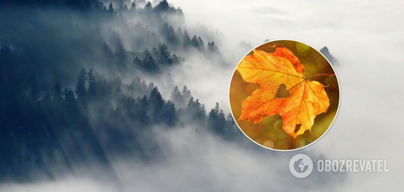 Часть Украины накроет сильный туман: синоптики дали прогноз погоды на воскресенье