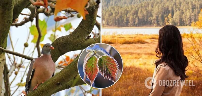 До +17 днем, но с ночными заморозками: синоптики дали прогноз погоды на субботу. Карта