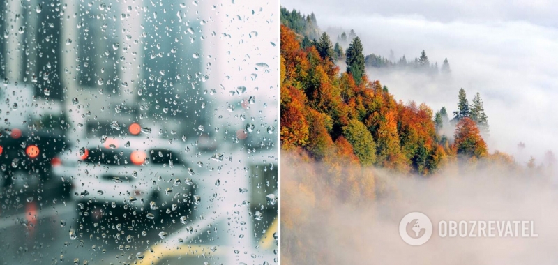 Дожди и туман: синоптики уточнили прогноз погоды в Украине на воскресенье