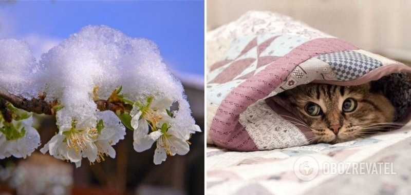 Дожди и заморозки на почве: синоптики дали прогноз погоды на понедельник, 1 мая