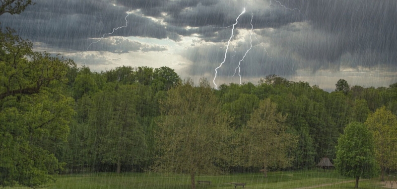 Дожди с грозами распространятся почти на всю Украину: какой будет погода 1 мая