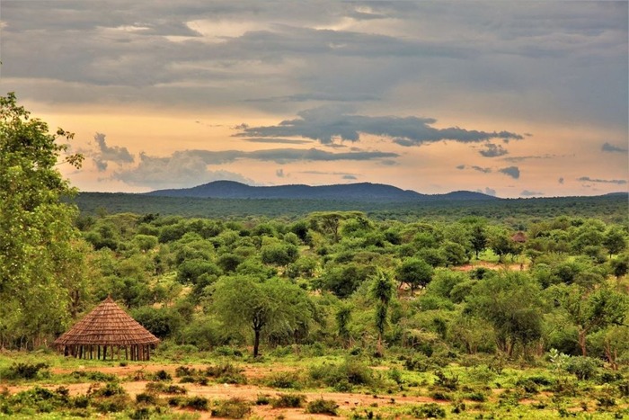 Эфиопия остановила выдачу турвиз в Москве