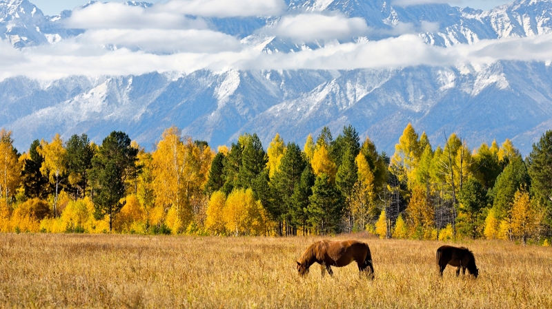 Эксперт Сбербанка назвал главные драйверы развития внутреннего туризма