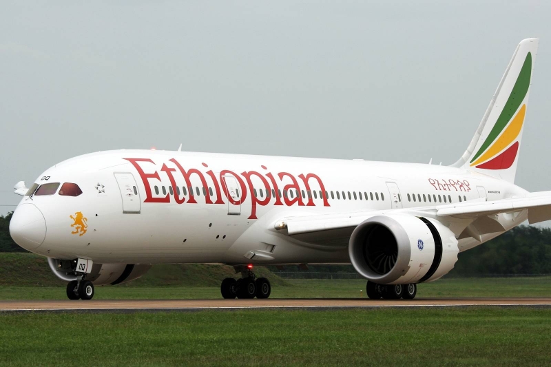 Ethiopian Airlines полет из из Аддис-Абебы в Москву