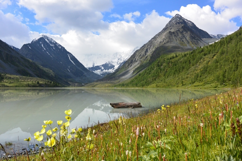 Госдума приняла в итоговом чтении закон об обязательной аттестации экскурсоводов и гидов-переводчиков