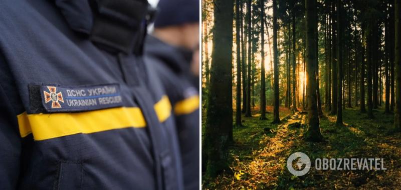 ГСЧС запретила посещать леса в ряде регионов Украины: кого это касается