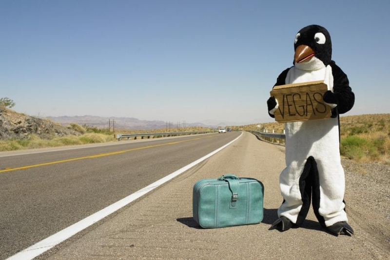 Каждый шестой россиянин хотя бы раз отправлялся в путешествие без денег