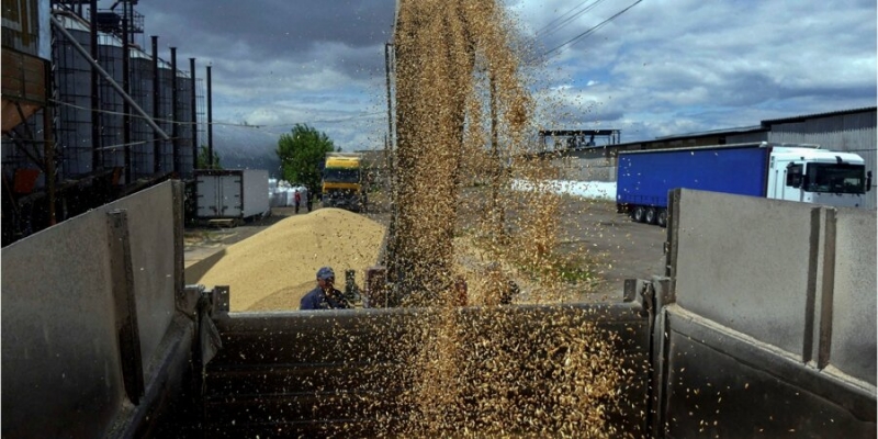 Минус 5 миллиардов гривен. Нардеп Железняк рассказал, как Украина потеряла гигантскую сумму на&nbsp;экспорте зерна