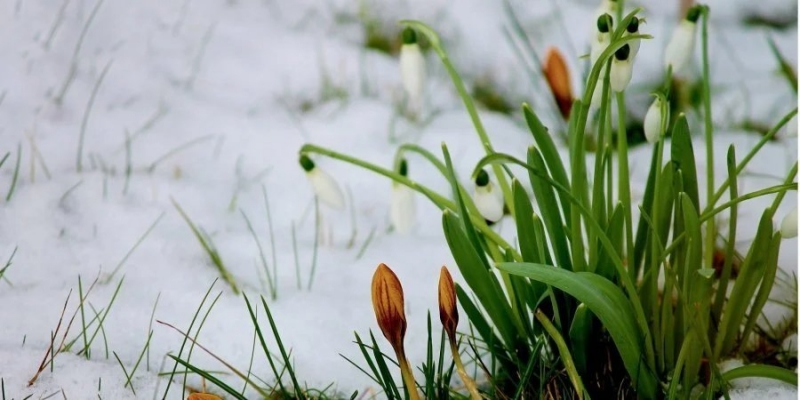 Морозы ночью и&nbsp;тепло перед выходными. Какой будет погода в&nbsp;Украине на&nbsp;следующей неделе