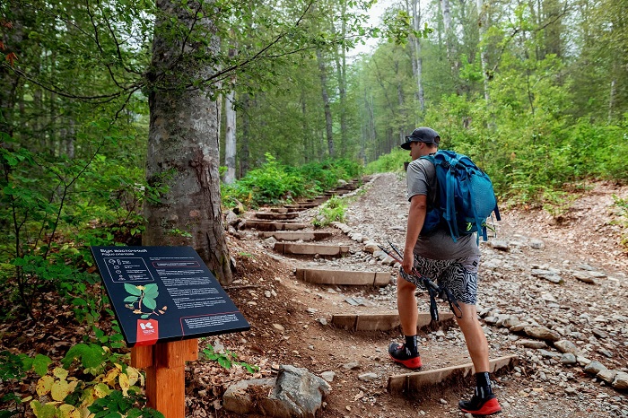 На&nbsp;Курорте Красная Поляна по&nbsp;кешбэк-акции Ростуризма совершили покупок на&nbsp;120&nbsp;млн&nbsp;рублей