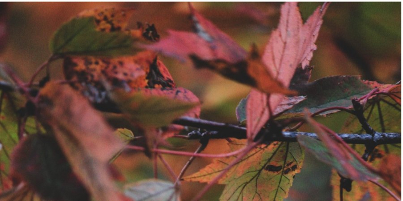 Неоднородная пятница. У одних порывистый ветер, у других дожди: приближается похолодание — прогноз синоптика