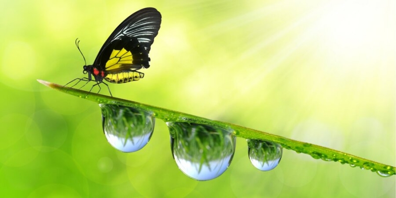 Неужели наступило. Метеорологическое лето и&nbsp;средние температурные показатели по&nbsp;Украине на&nbsp;июнь