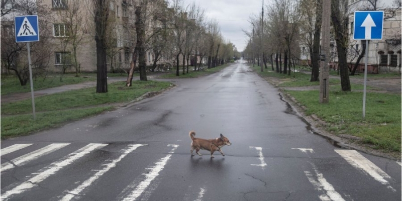 &laquo;Новый общественный договор&raquo;. Интервью с&nbsp;Николаем Давидюком о&nbsp;том, как украинцы должны быть едиными, но&nbsp;не в&nbsp;покрывании старых порядков