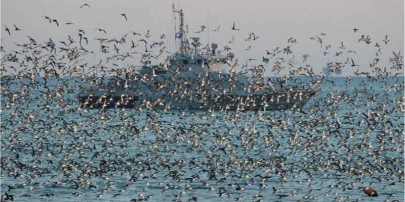 Общий арсенал&nbsp;&mdash; 36 ракет. Российские войска пополнили свою группировку в&nbsp;Черном море