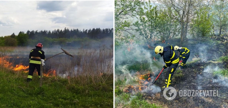 Огромный вред для экологии и человека: в ГСЧС привели ужасающую статистику пожаров в экосистемах. Фото