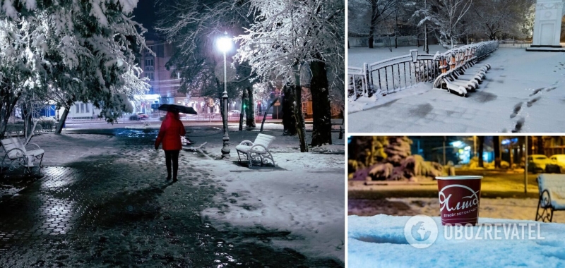 Оккупированный Крым засыпало снегом, ураганный ветер валил деревья и срывал крыши. Фото и видео