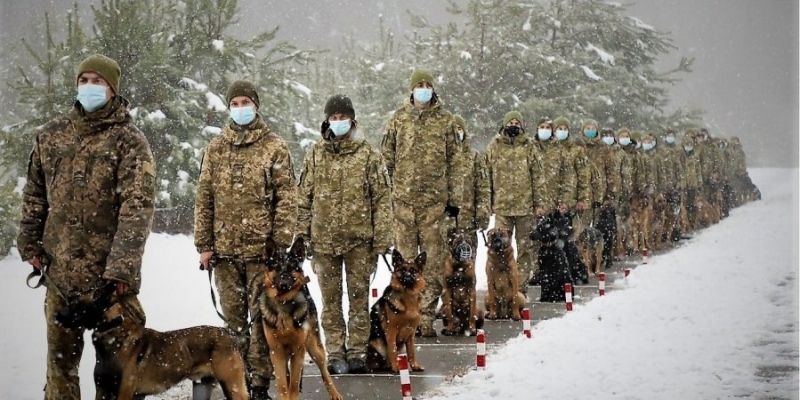 Около 30 нелегальных мигрантов встретили Новый год с&nbsp;украинскими пограничниками