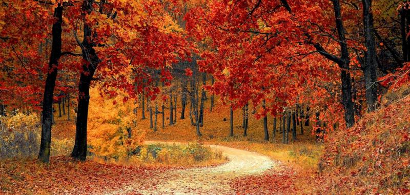 Октябрь-2022 стал 13-м в рейтинге самых теплых с 1881 года: синоптики рассказали о температурных рекордах