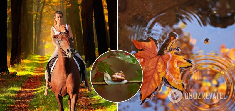 Осень начнется дождями, но с теплой ноты: синоптики дали прогноз на 1 сентября в Украине