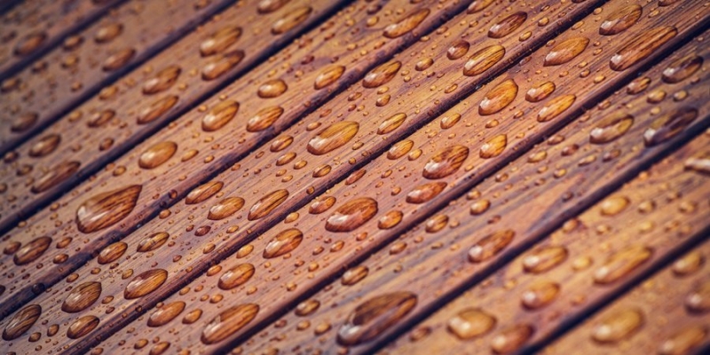 Поделенная пополам. Синоптики предупредили, как грозовые дожди распространятся по стране в субботу