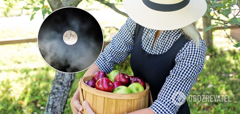 Посевной календарь на октябрь 2021: какие дни благоприятны для работы на земле