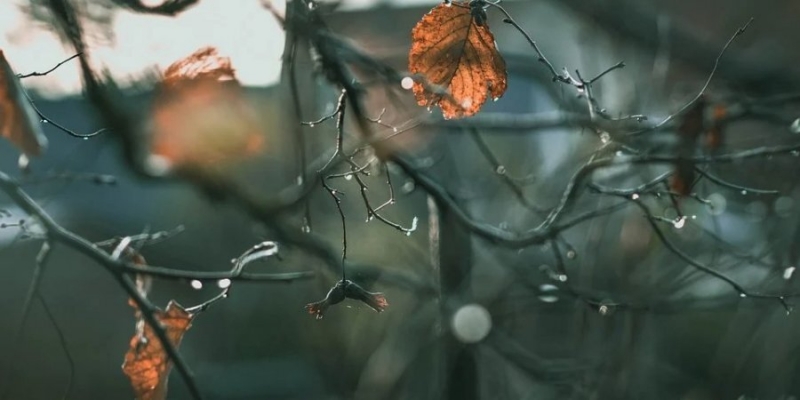 Придет похолодание. Синоптик рассказала о&nbsp;погоде в&nbsp;Украине в&nbsp;первые дни ноября