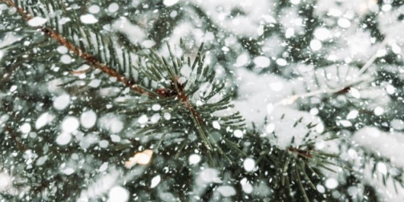 Штормовой ветер и&nbsp;мокрый снег: в&nbsp;каких областях Украины завтра ухудшится погода