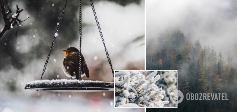 Станет больше погодных катаклизмов: синоптик рассказал об изменении климата и дал прогноз на зиму в Украине