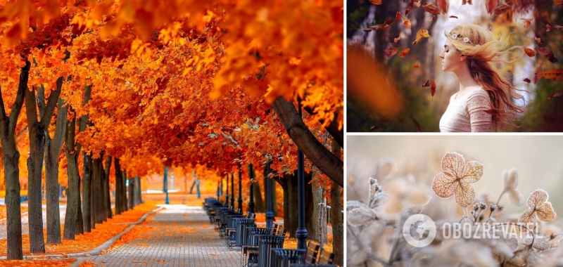 Сухо и тепло: синоптики дали новый прогноз на четверг. Карта