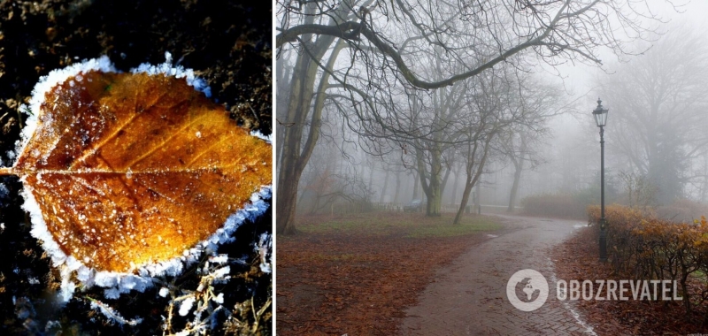 Туманы и до -8: синоптики дали новый прогноз погоды на вторник. Карта