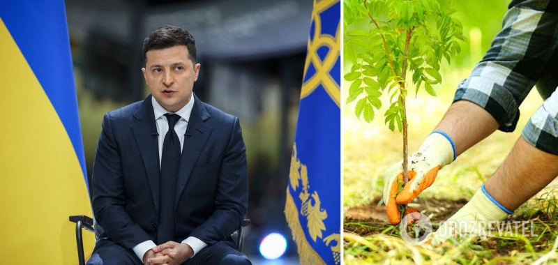 Указ Зеленского о ''миллиарде деревьев за три года'' выполнили на 5,8%