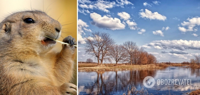В Гидрометцентре прокомментировали ''прогноз'' на весну сурка Тимка