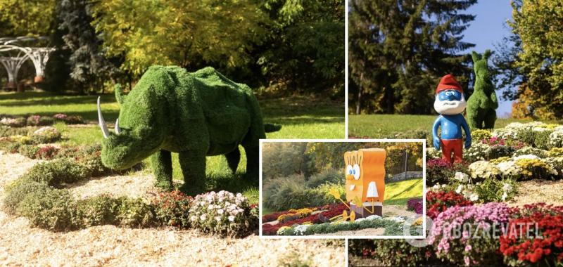 В Киеве с 14 октября заработала выставка хризантем: сколько стоят билеты