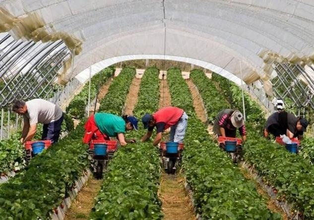 В Польше пообещали, что заробитчанам будет легче попасть в страну