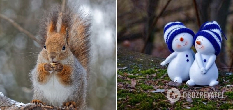 В Украине будет до +11: синоптик дала подробный прогноз погоды на среду