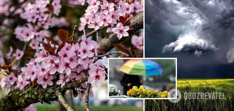 В Украине будет жара до +27, но некоторые области накроют дожди: синоптики дали прогноз до конца недели. Карта