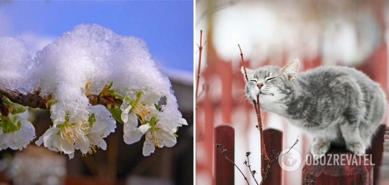 В Украину идут заморозки: где будет холоднее всего